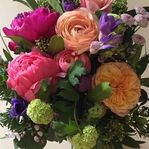 Meet your Posher, Bonnie